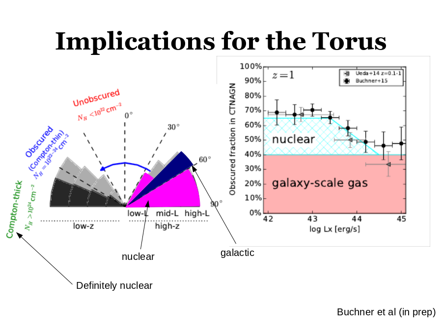Implications for the Torus
Buchner et al (in prep)
Definitely nuclear
nuclear
galactic
