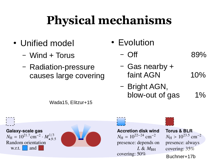 Physical mechanisms
Unified model
Evolution
Wada15, Elitzur+15
Buchner+17b