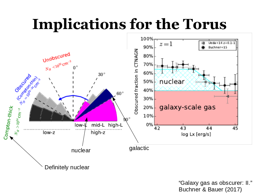 Implications for the Torus
Definitely nuclear
nuclear
galactic
“Galaxy gas as obscurer: II.”
Buchner & Bauer (2017)