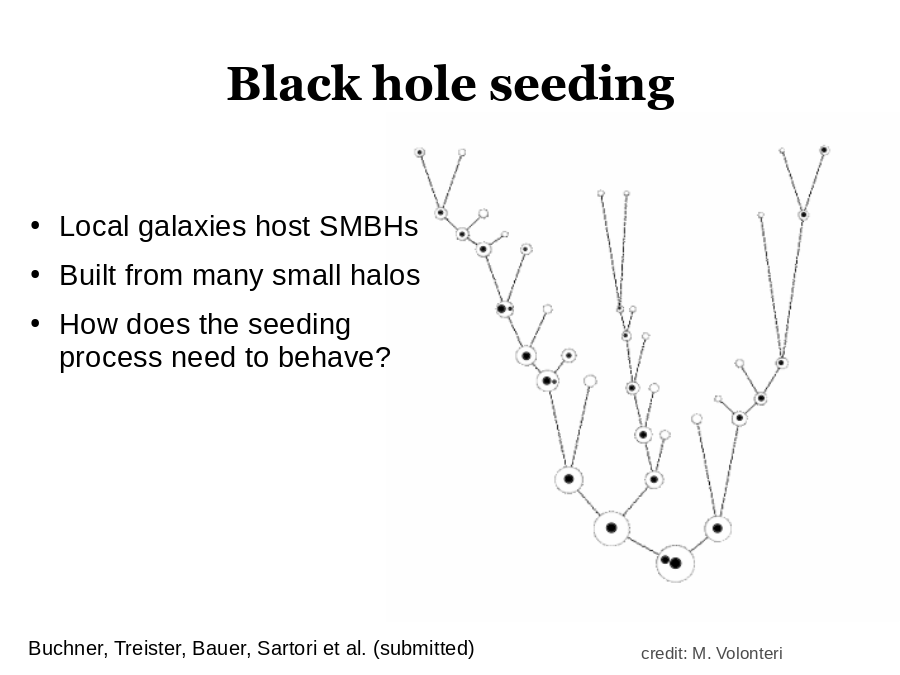 Black hole seeding
Local galaxies host SMBHs
Built from many small halos
How does the seeding process need to behave?
credit: M. Volonteri
Buchner, Treister, Bauer, Sartori et al. (submitted)