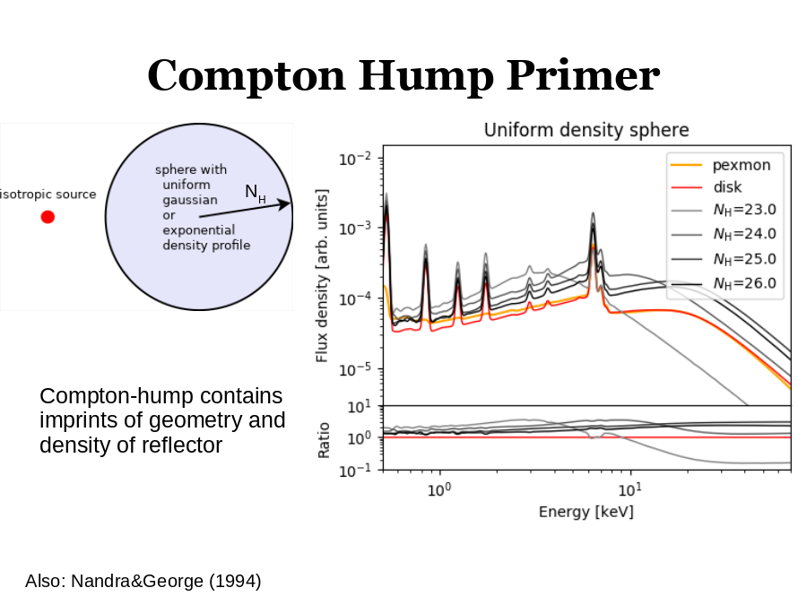 Compton Hump Primer
Also: Nandra&George (1994)
NH
Compton-hump contains imprints of geometry and density of reflector