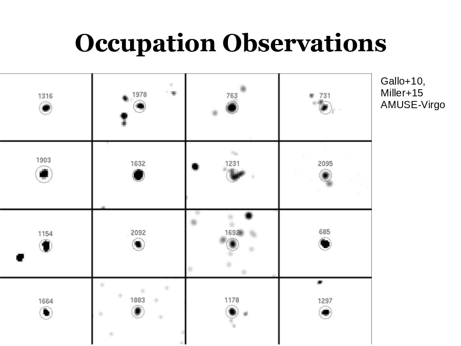 Occupation Observations
Gallo+10, Miller+15
AMUSE-Virgo