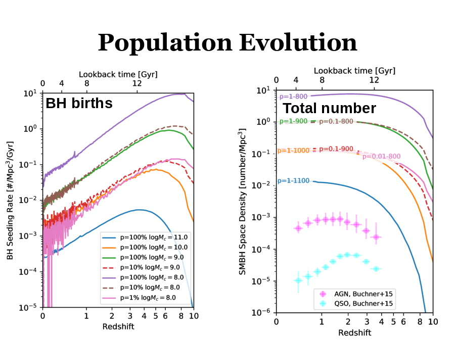 Population Evolution
BH births
Total number