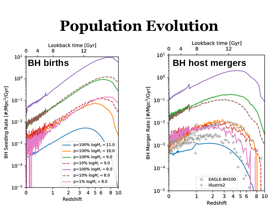 Population Evolution
BH births
BH host mergers