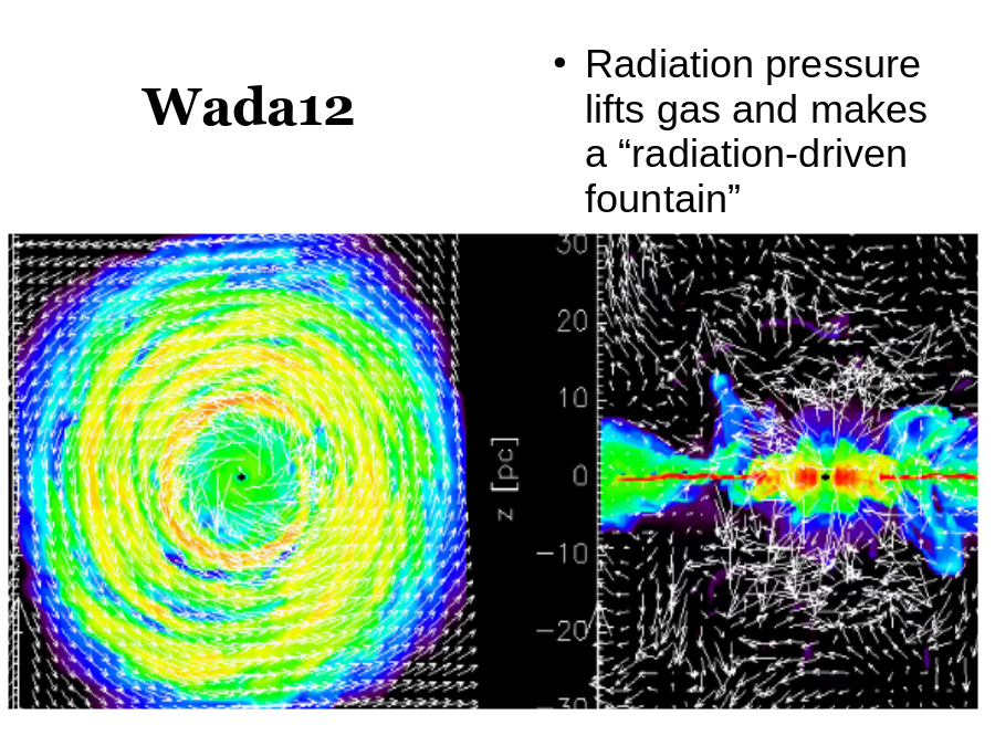 Wada12
Radiation pressure lifts gas and makes a “radiation-driven fountain”