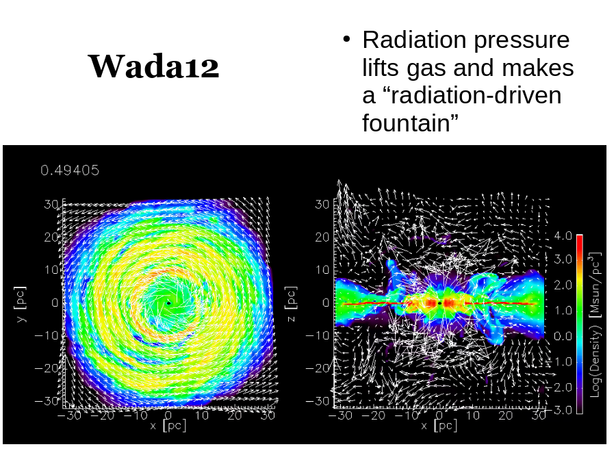 Wada12
Radiation pressure lifts gas and makes a “radiation-driven fountain”