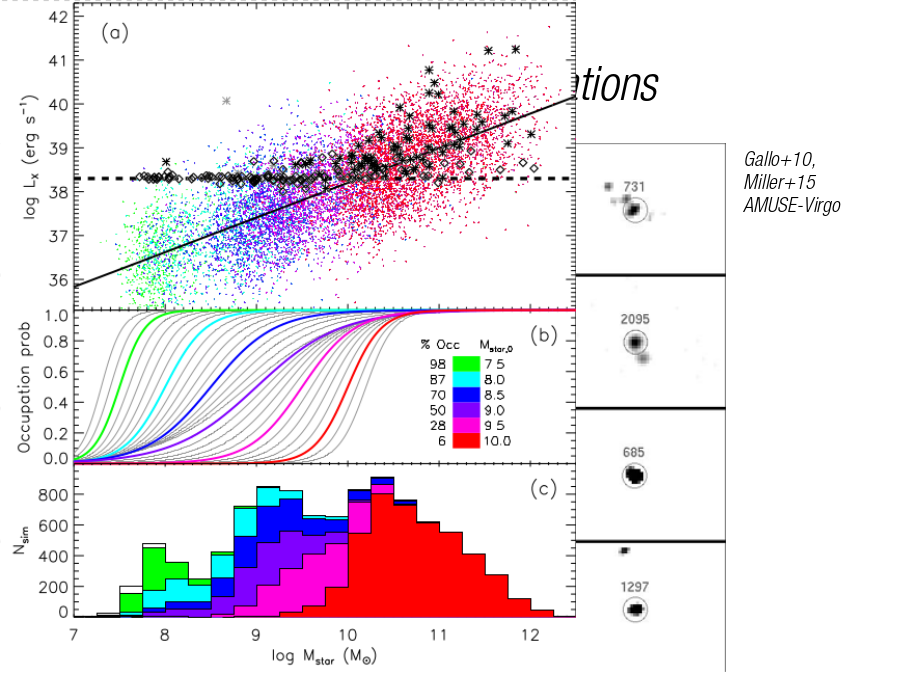 Occupation Observations
Gallo+10, Miller+15
AMUSE-Virgo
