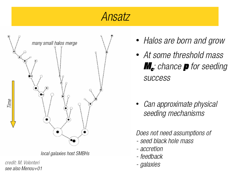 Ansatz
Halos are born and grow
At some threshold mass 
Can approximate physical seeding mechanisms
Does not need assumptions of
- seed black hole mass
- accretion
- feedback
- galaxies
see also Menou+01
credit: M. Volonteri
local galaxies host SMBHs
Time
many small halos merge