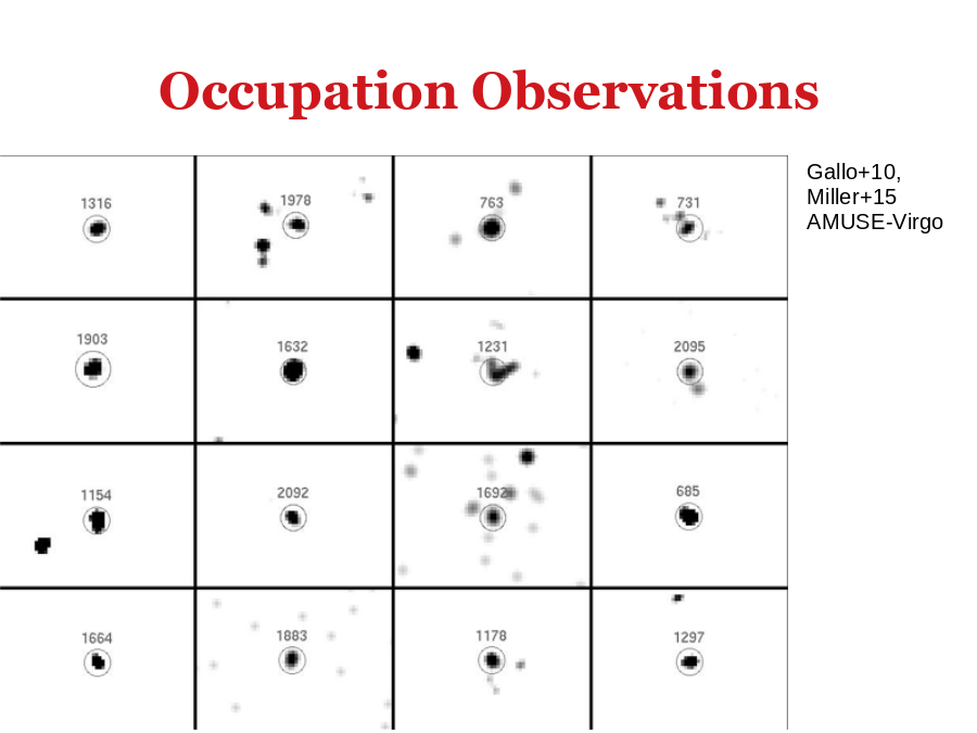 Occupation Observations
Gallo+10, Miller+15
AMUSE-Virgo