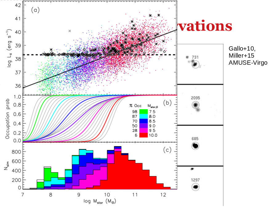 Occupation Observations
Gallo+10, Miller+15
AMUSE-Virgo