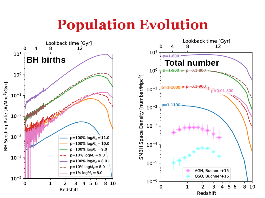 Population Evolution
BH births
Total number