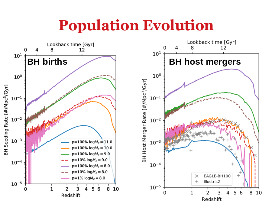 Population Evolution
BH births
BH host mergers