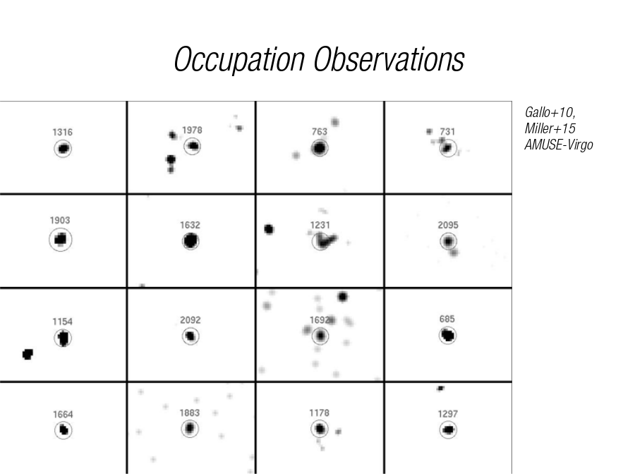 Occupation Observations
Gallo+10, Miller+15
AMUSE-Virgo