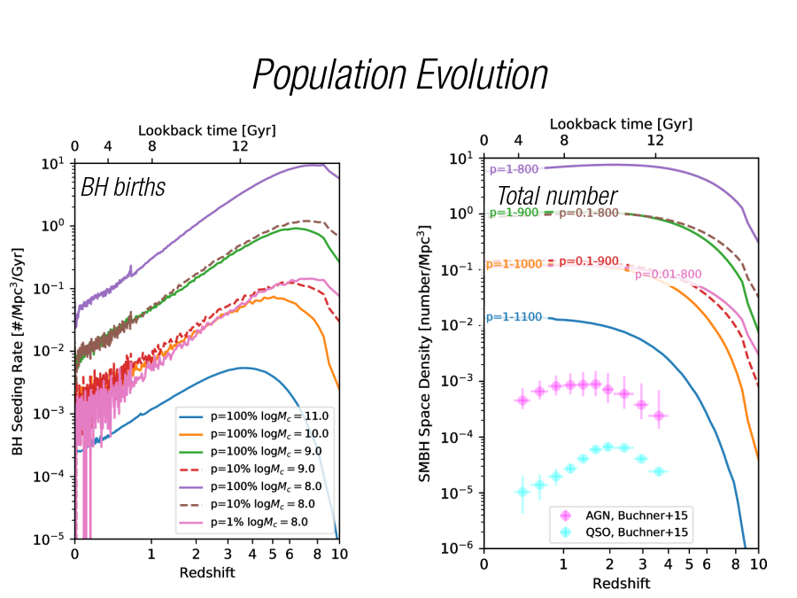 Population Evolution
BH births
Total number