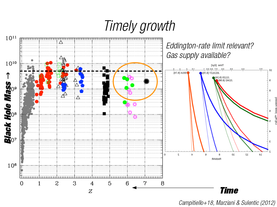 Timely growth
Campitiello+18, Marziani & Sulentic (2012)
Black Hole Mass →
Time
Eddington-rate limit relevant?
Gas supply available?