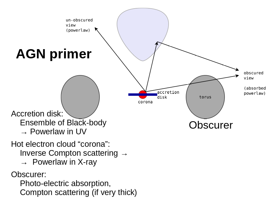 AGN primer
Obscurer
Accretion disk: 
	Ensemble of Black-body
	→ Powerlaw in UV
Hot electron cloud “corona”:
	Inverse Compton scattering →
	→  Powerlaw in X-ray
Obscurer:
	Photo-electric absorption,
	Compton scattering (if very thick)