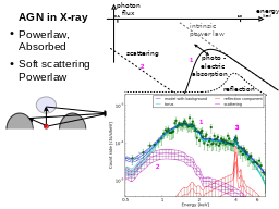 AGN in X-ray
1
2
1
2
3
3
Powerlaw,
Absorbed
Soft scattering Powerlaw